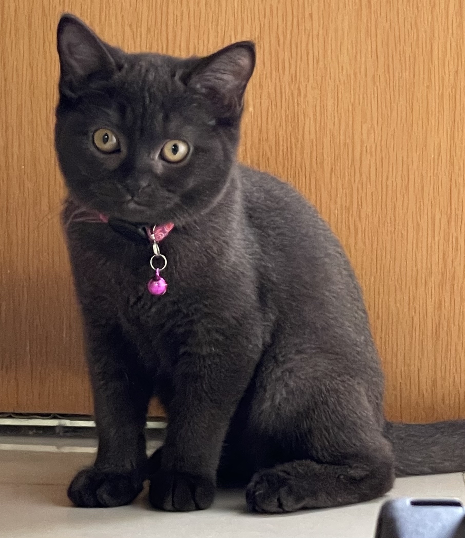 Gaia-posing.jpg